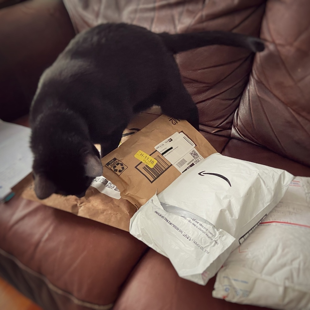 Meet your Posher, Chananchida